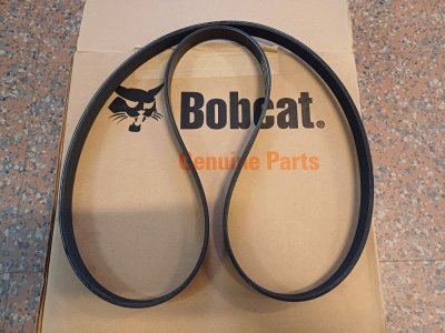 alternator belt