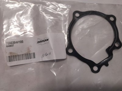Water pump gasket