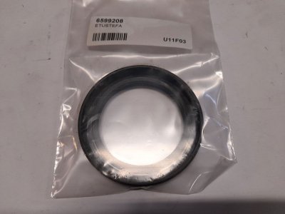 Timing gear cover seal