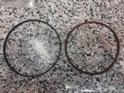 hydrostatic motor seal