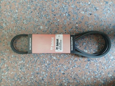 fan belt