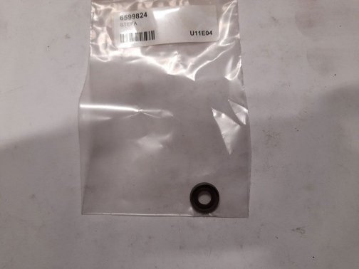 Crankcase oil seal