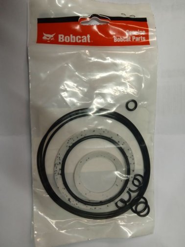 Drive motor seal kit